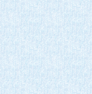 Denim Jacket With Chain Fringe Detail At Back-Bluesnow